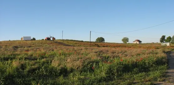 Już wkrótce wyrosną tutaj pierwsze budynki w ramach Osiedla Leszczynowego. 