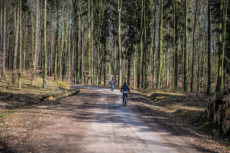 Klesza Droga to malowniczo położona trasa, która jest bardzo popularna wśród rowerzystów i spacerowiczów. 