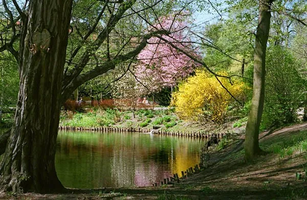 Park Oliwki wiosną
