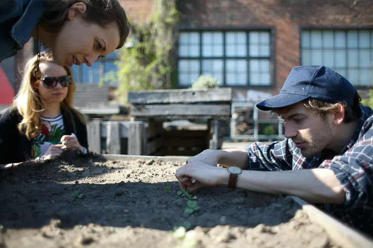 Sebastian Kulis opowiada o tym, jak sadzić rośliny. 