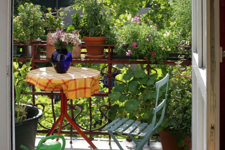 Nawet najmniejszy balkon można przekształcić w ogród. Nawet jeśli nie obsadzimy go roślinami kwitnącymi, warto przenieść na zewnątrz część roślin domowych. 