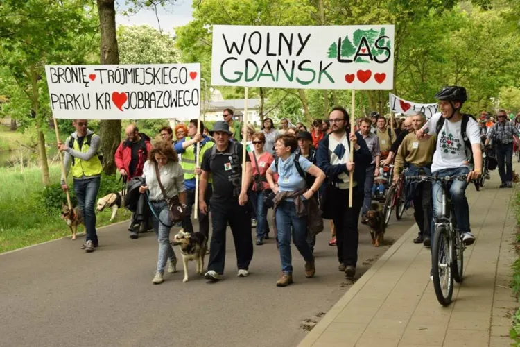 Marsz LoveLasy to kolejna już próba sprzeciwu wobec złej polityki leśników wobec Trójmiejskiego Parku Krajobrazowego.