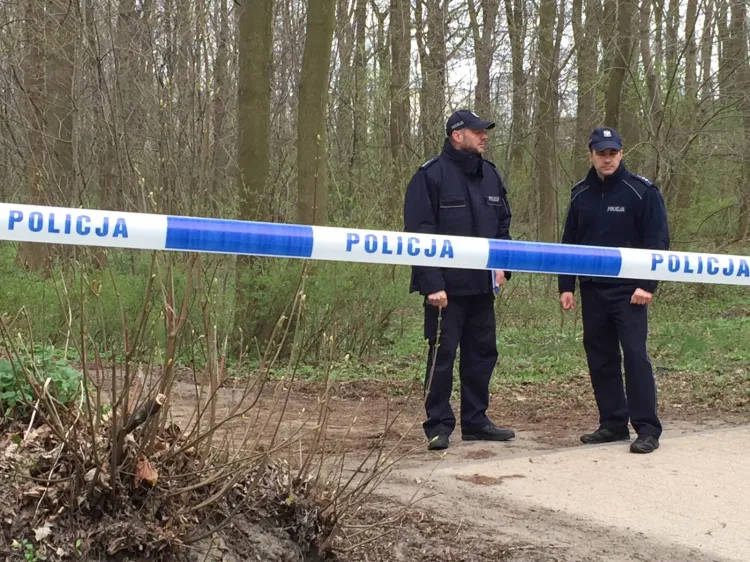 Do zabójstwa 5-latki doszło wiosną ubiegłego roku na terenie parku w Brzeźnie.