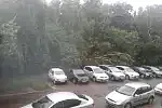 Na Karwinach drzewo przewróciło się na samochody stojące na parkingu.