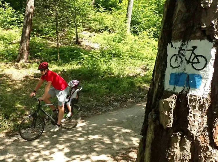 Ciekawa, kilkunastokilometrowa trasa poprowadzona wśród malowniczych pejzaży sprawiła, że pierwsza tegoroczna edycja Rodzinnego Pikniku Rowerowego cieszyła się ogromną frekwencją.
