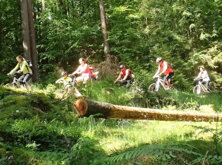 Ciekawa, kilkunastokilometrowa trasa poprowadzona wśród malowniczych pejzaży sprawiła, że pierwsza tegoroczna edycja Rodzinnego Pikniku Rowerowego cieszyła się ogromną frekwencją.