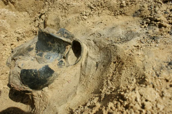 W ciągu trzech tygodni badań, archeolodzy odkryli na Wiczlinie m. in. ponad tysiąc fragmentów ceramiki z okresu kultury pomorskiej.
