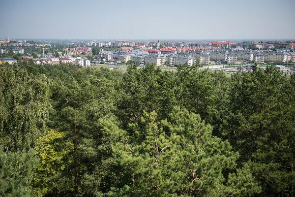 W tle widać pętle tramwajową na Łostowicach, jest to widok z Kozaczej Góry w Gdańsku