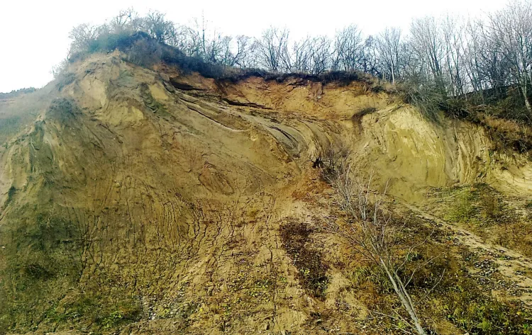 Morze odsłania profile wznoszących się nad plażą klifów, które mogą być niczym atlas dla studentów geologii.