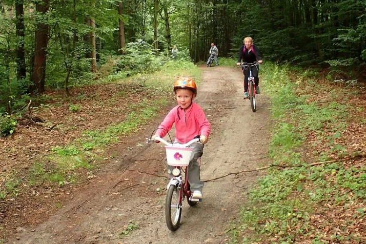 II Rodzinny Piknik Rowerowy zorganizowany przez Grupę Rowerową 3miasto za nami