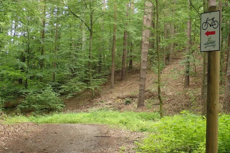 II Rodzinny Piknik Rowerowy zorganizowany przez Grupę Rowerową 3miasto za nami