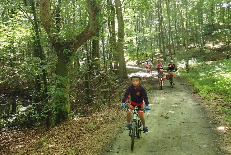 II Rodzinny Piknik Rowerowy zorganizowany przez Grupę Rowerową 3miasto za nami