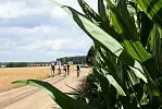 Zaborski Park Krajobrazowy ze smakiem to propozycja trasy dla tych, którzy lubią nie tylko rower, ale i dobrą kuchnię.