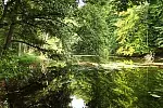 Zaborski Park Krajobrazowy ze smakiem to propozycja trasy dla tych, którzy lubią nie tylko rower, ale i dobrą kuchnię.