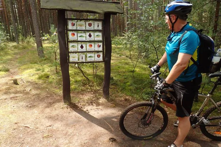 Zaborski Park Krajobrazowy ze smakiem to propozycja trasy dla tych, którzy lubią nie tylko rower, ale i dobrą kuchnię.