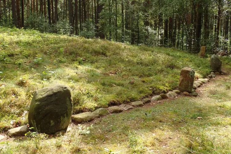 Zaborski Park Krajobrazowy ze smakiem to propozycja trasy dla tych, którzy lubią nie tylko rower, ale i dobrą kuchnię.