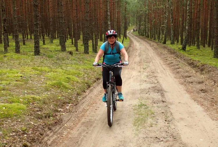 Zaborski Park Krajobrazowy ze smakiem to propozycja trasy dla tych, którzy lubią nie tylko rower, ale i dobrą kuchnię.