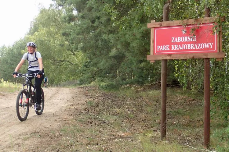 Zaborski Park Krajobrazowy ze smakiem to propozycja trasy dla tych, którzy lubią nie tylko rower, ale i dobrą kuchnię.