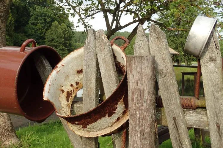 Zaborski Park Krajobrazowy ze smakiem to propozycja trasy dla tych, którzy lubią nie tylko rower, ale i dobrą kuchnię.