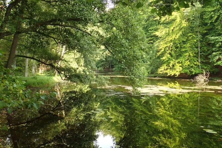 Zaborski Park Krajobrazowy ze smakiem to propozycja trasy dla tych, którzy lubią nie tylko rower, ale i dobrą kuchnię.