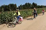 Piękna, słoneczna pogoda dopisała w realizacji III Rodzinnego Pikniku Rowerowego