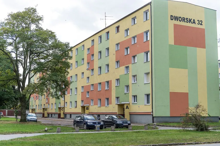 Mieszkańcy Brzeźna zdecydowali, że w ich dzielnicy zostanie zrealizowany tylko jeden projekt z budżetu obywatelskiego: klepisko pod blokiem przy Dworskiej 32 zmieni się w teren utwardzony.