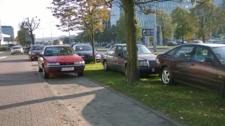 Jednym z problemów, z którym borykają się mieszkańcy Trójmiasta, są np. samochody parkowane w miejscach, w których parkować ich nie można.