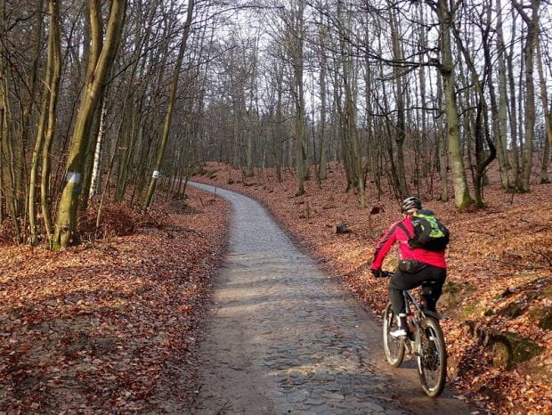 Mężczyzna na rowerze to - według badań - najczęstszy gość w lasach Trójmiejskiego Parku Krajobrazowego.