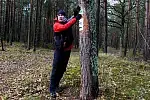 Wędrówka pieszym szlakiem Wyspy Sobieszewskiej