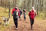 Wędrówka pieszym szlakiem Wyspy Sobieszewskiej