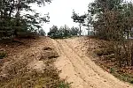 Wędrówka pieszym szlakiem Wyspy Sobieszewskiej