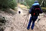 Wędrówka pieszym szlakiem Wyspy Sobieszewskiej