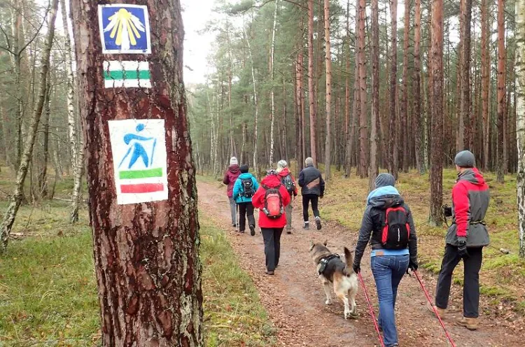 Wędrówka pieszym szlakiem Wyspy Sobieszewskiej