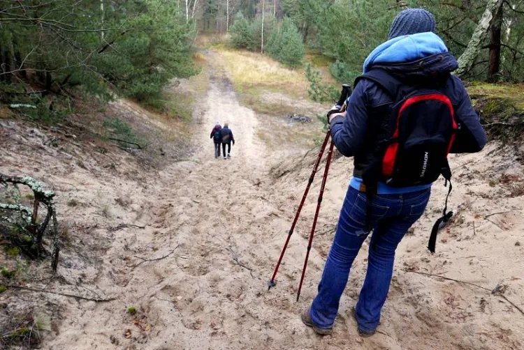 Wędrówka pieszym szlakiem Wyspy Sobieszewskiej