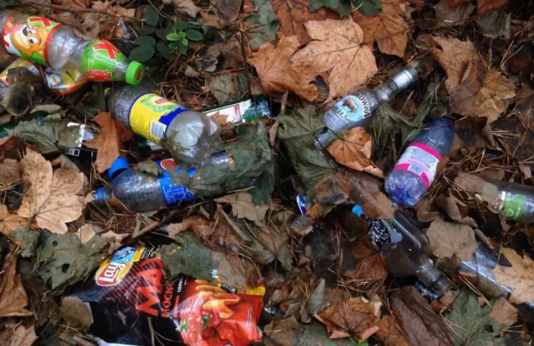 Butelki szklane i plastikowe. Zamiast do kosza, wyrzucone w lesie. 
