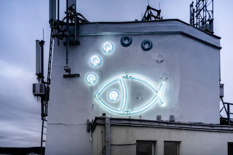 Neon-rybka na wieżowcu w Redłowie świeci się od zmierzchu do północy.
