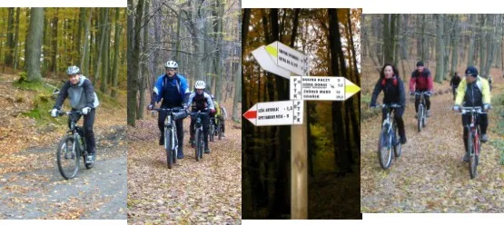 Szlaki w Trójmiejskim PK są bardzo dobrze oznakowane co ułatwia swobodne poruszanie sie zarówno na rowerze jak i pieszo