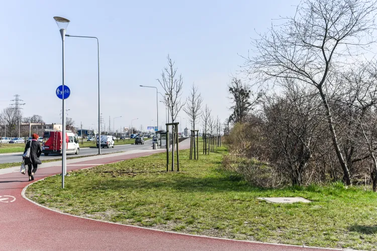 Miasto szukać będzie chętnego, który kupi teren w trójkącie ulic Gdańskiej, Hallera i Drogi Zielonej. Na zdjęciu widok od skrzyżowania al. Hallera z Drogą Zieloną.