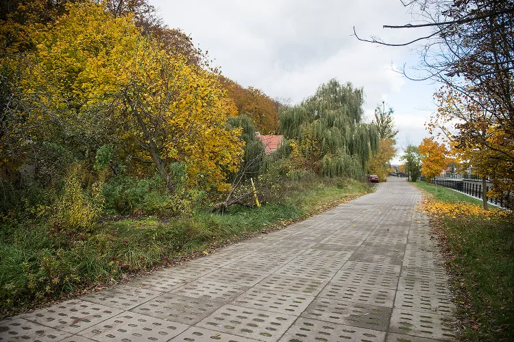 Mieszkańcy będą w sobotę sprzątali teren parku w Lipcach, który dzisiaj bardziej przypomina las. Jest jednak szansa, że miejsce zacznie odzyskiwać dawną świetność.  