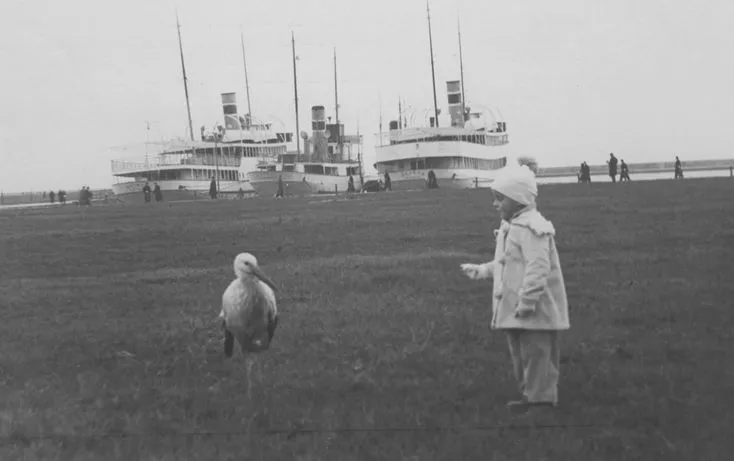 Dziecko z zimującym w gdyńskim porcie bocianem. Widoczne stojące przy nabrzeżu statki żeglugi przybrzeżnej. Zdjęcie wykonane w 1936 r.