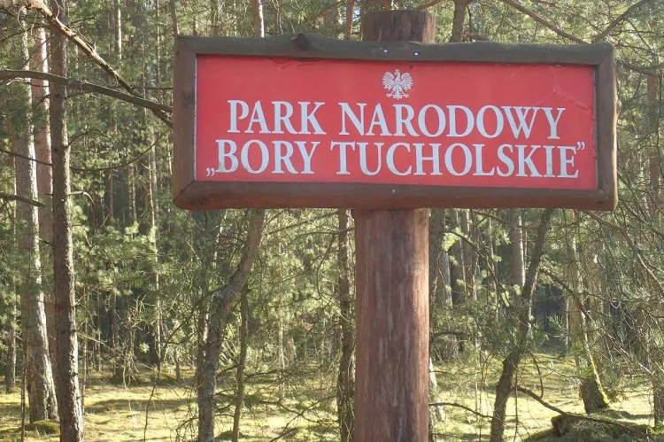 2-dniowa wędrówka Szlakiem Zaborskim zorganizowana przez GR3miasto