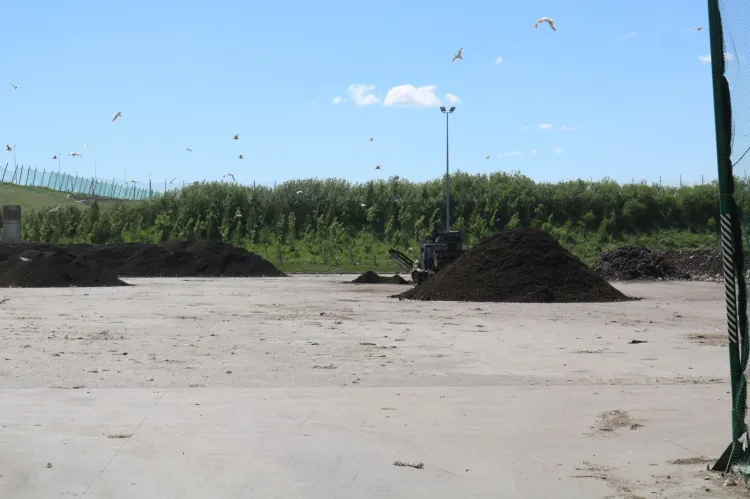 70 proc. kompostu składowanego na otwartym placu zostało już wywiezione z Szadółek. Nowa kompostownia ma powstać w tym właśnie miejscu.