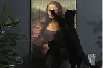 Drapak - obraz Mona Lisa