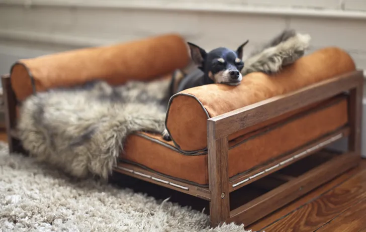 Wygodne łóżko od Architect Pets