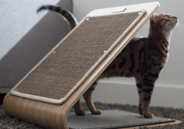 Drapak Architect Pets