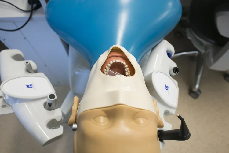 Studenci stomatologii będą się uczyć na 12 nowych fantomach do symulacji zabiegów klinicznych. 