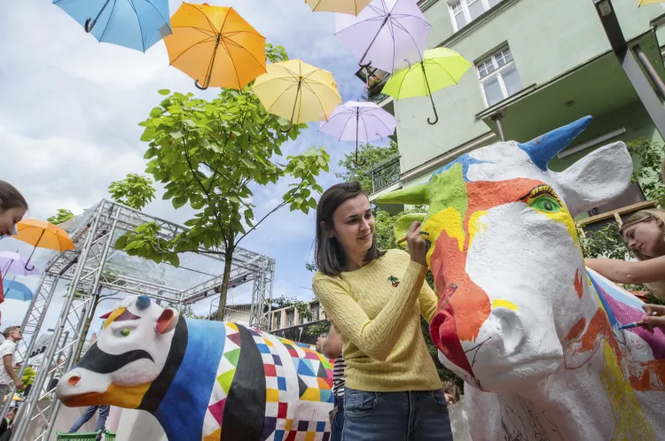 Malowanie krów w fantazyjne kolory i wzory