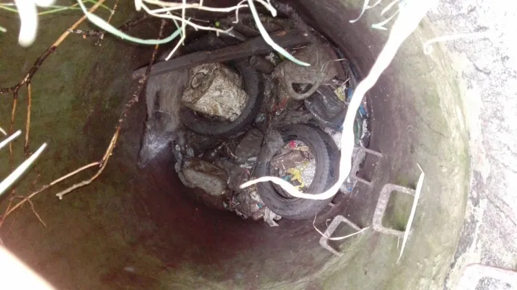 Warchlak wpadł do studzienki kanalizacyjnej, ponieważ nie miała ona pokrywy. Na szczęście zgromadzone w niej śmieci i gałęzie zamortyzowały upadek zwierzęcia.
