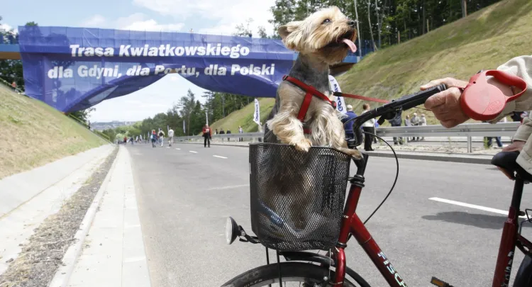 W przyszłym roku rowerzyści będą mogli oglądać Estakadę Kwiatkowskiego z perspektywy estakady rowerowej.
