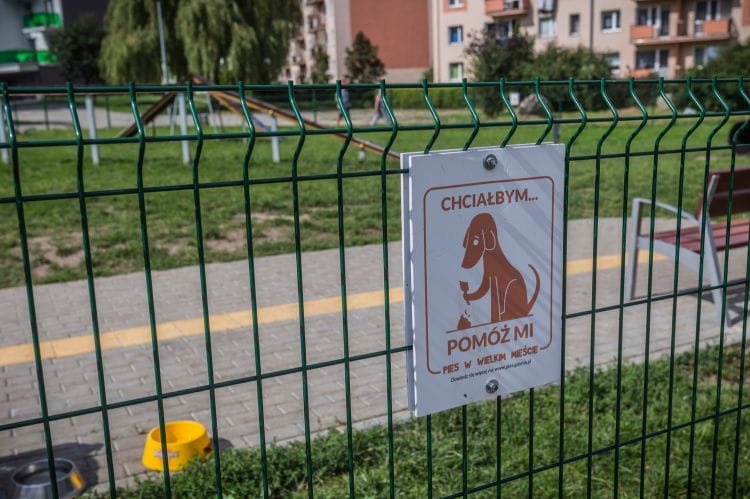 Gdyński wybieg dla psów został sfinansowany z budżetu obywatelskiego. Mieści się u zbiegu ulic Podchorążych i Godebskiego.